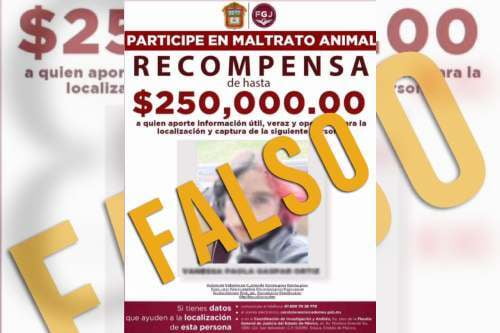 Fiscalía mexiquense no ha emitido carteles de recompensa por Vanesa "N" y familia